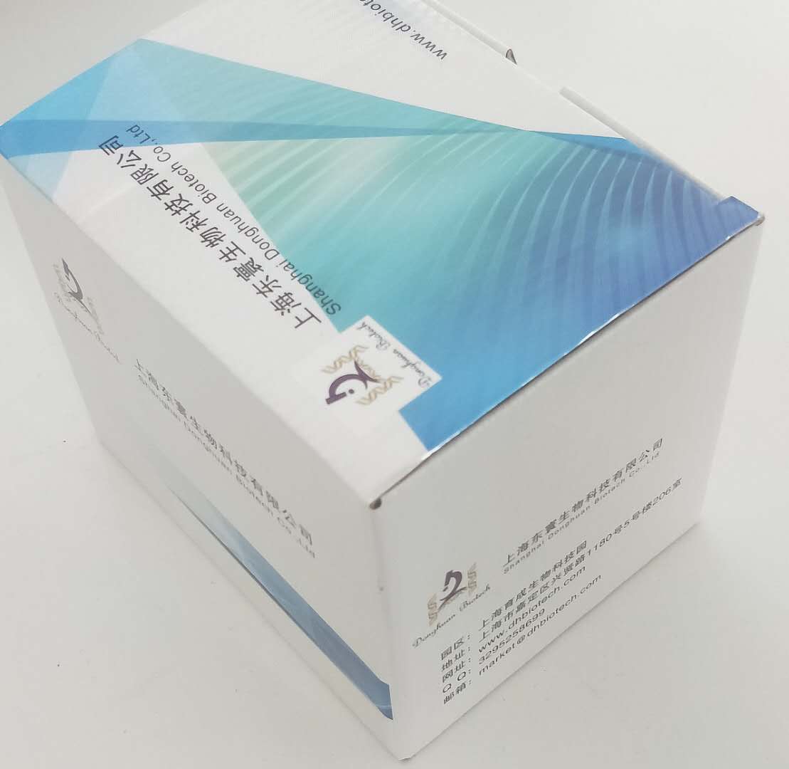 間充質幹細胞成脂誘導分化試劑盒