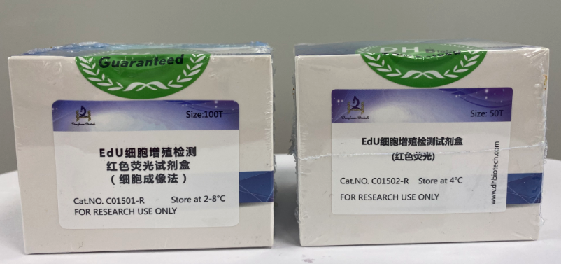 EdU細胞增殖檢測：洞察生命之舞