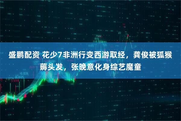 盛鹏配资 花少7非洲行变西游取经，龚俊被狐猴薅头发，张晚意化身综艺魔童