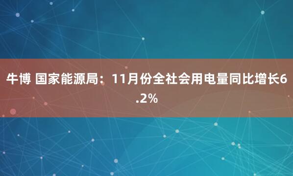牛博 国家能源局：11月份全社会用电量同比增长6.2%