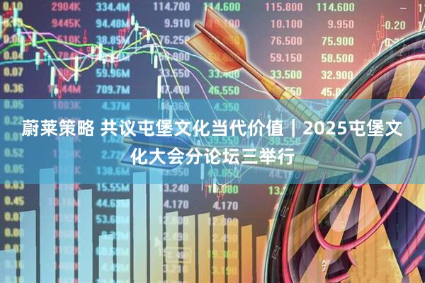 蔚莱策略 共议屯堡文化当代价值｜2025屯堡文化大会分论坛三举行