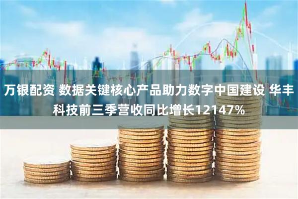 万银配资 数据关键核心产品助力数字中国建设 华丰科技前三季营收同比增长12147%