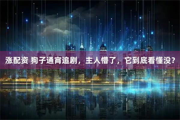 涨配资 狗子通宵追剧，主人懵了，它到底看懂没？