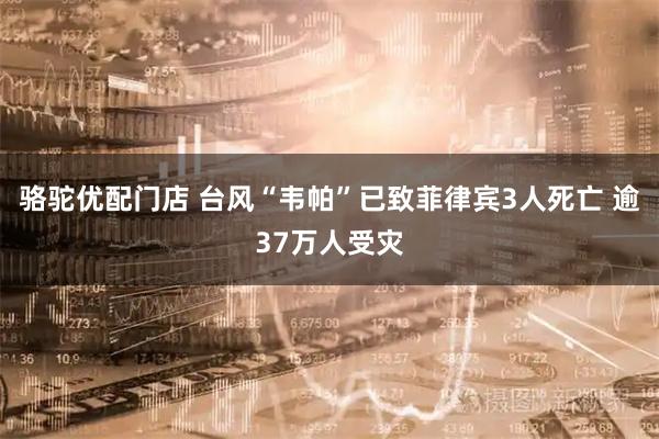 骆驼优配门店 台风“韦帕”已致菲律宾3人死亡 逾37万人受灾