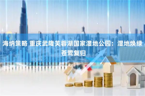 海纳策略 重庆武隆芙蓉湖国家湿地公园：湿地焕绿 苍鹭复归