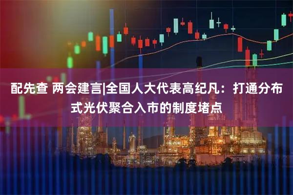 配先查 两会建言|全国人大代表高纪凡：打通分布式光伏聚合入市的制度堵点